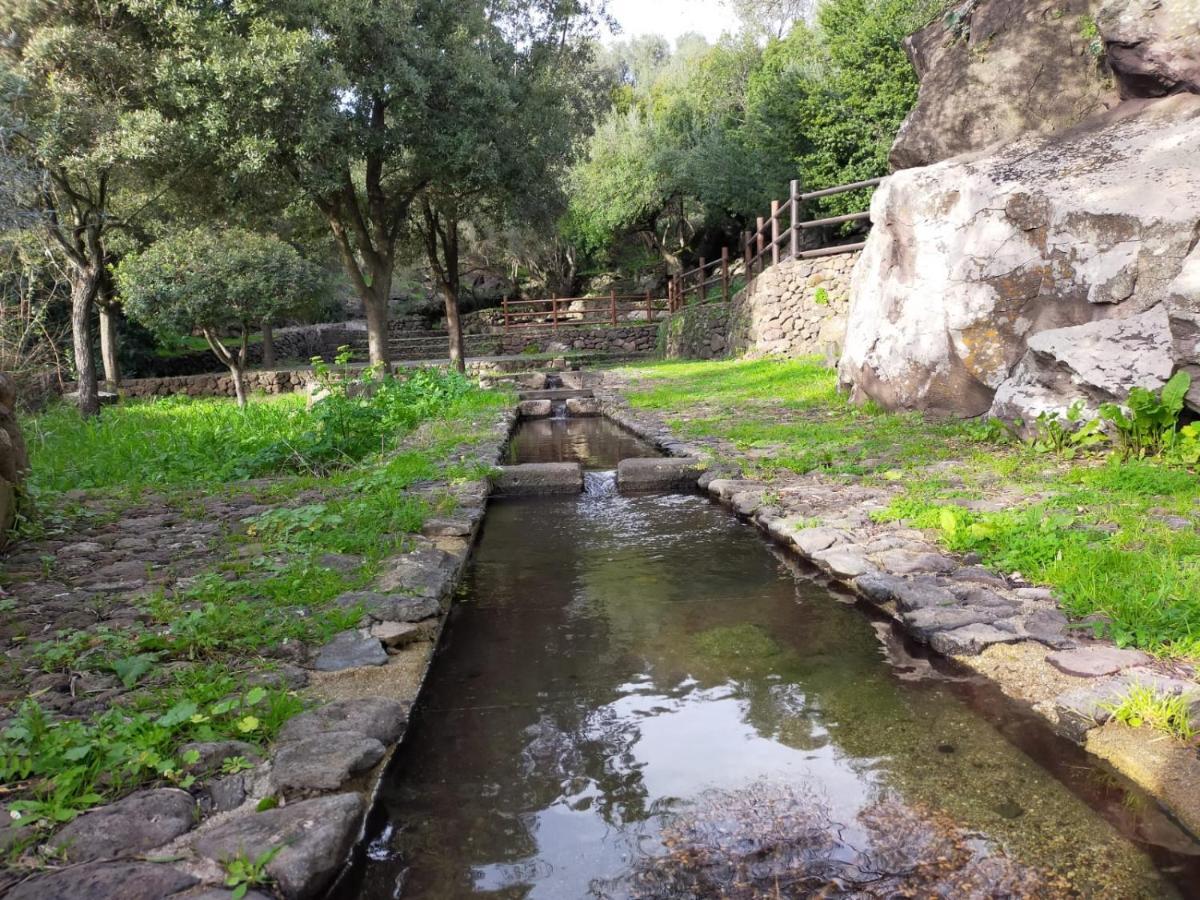 Sa Banita Affittacamere Bauladu Εξωτερικό φωτογραφία